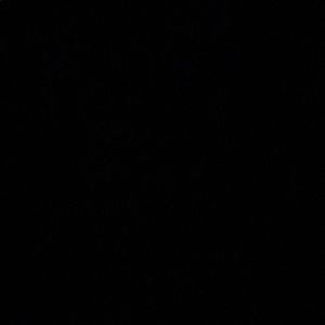 Meet your Posher, Luis